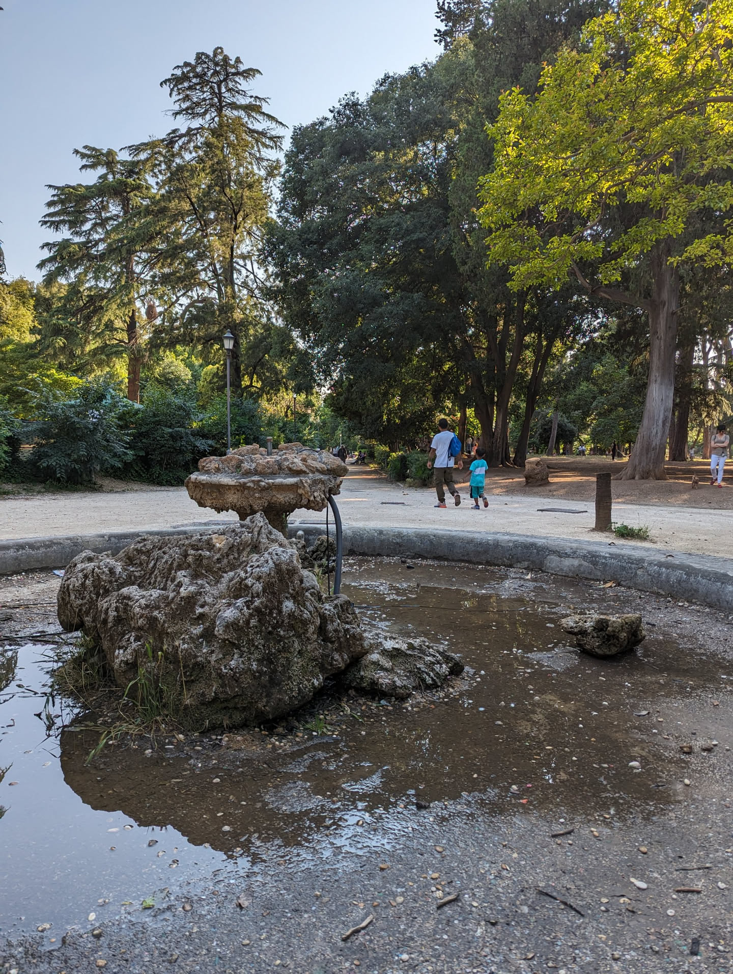 Roma Park Tour